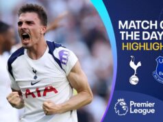 Premier League: resumos do Tottenham 1-0 Everton