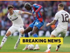 Aston Villa e Crystal Palace querem contratar Arijon Ibrahimovic