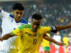 África do Sul se enganou após problemas com vistos durante a Copa do Mundo, diz ministro