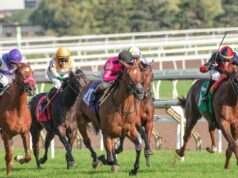 O que as estatísticas realmente nos dizem sobre os vencedores do Epsom Derby