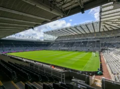 Os fãs do Newcastle United estão adorando esta foto de domingo à noite
