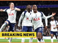 A figura-chave do Tottenham e do Newcastle é Anan Khalaili