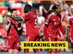 Cody Gakpo não está interessado em deixar o Liverpool