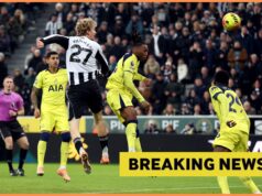 Tottenham e Newcastle amam Evan Ndicka
