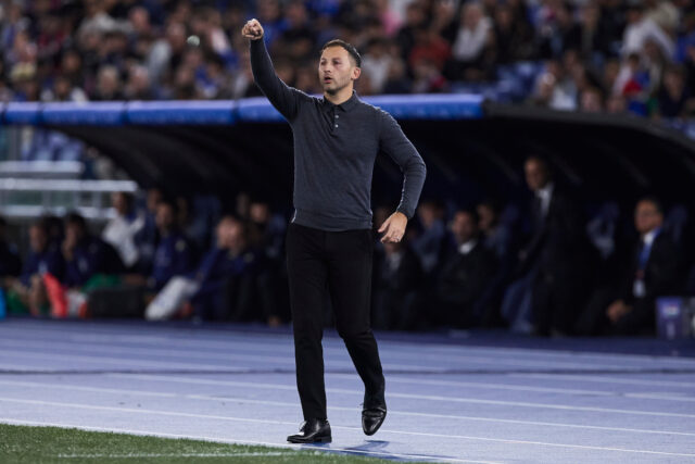 Domenico-Tedesco-Belgium.jpg