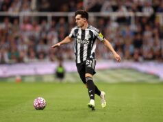 O Arsenal não pagará muito pela estrela do Newcastle United