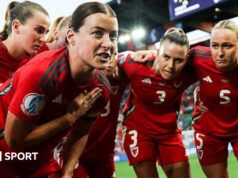 A Federação de Futebol do País de Gales está pedindo à Uefa que expanda o Fundo Feminino