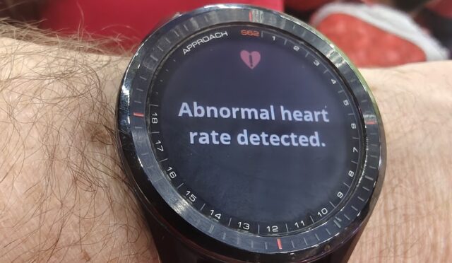 heart.jpg
