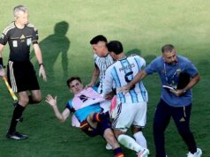 Mais de 50 mil argentinos começam a coletar assinaturas para repetir a final da Copa do Mundo contra a Espanha por causa de árbitros ‘corruptos’