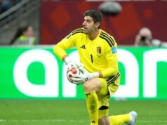 Courtois, um goleiro na história da Copa do Mundo