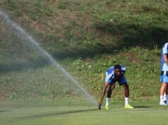 o blues reativa um interesse anterior no mercado