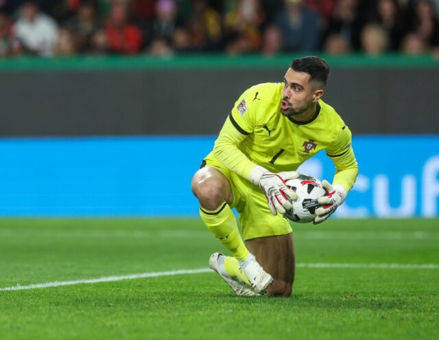 Diogo-Costa-in-action-for-Portugal.jpg
