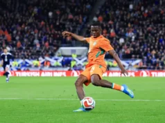 Nova contratação ‘Estava conversando com meu agente e disse que queria jogar pelo Newcastle United’
