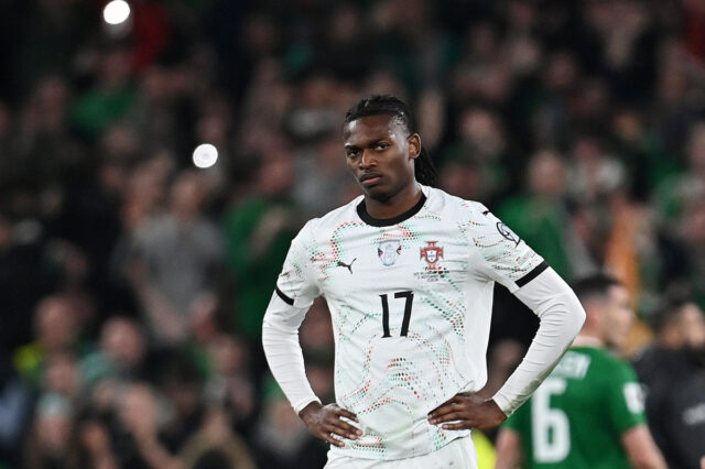 republic-of-ireland-v-portugal-f.jpg