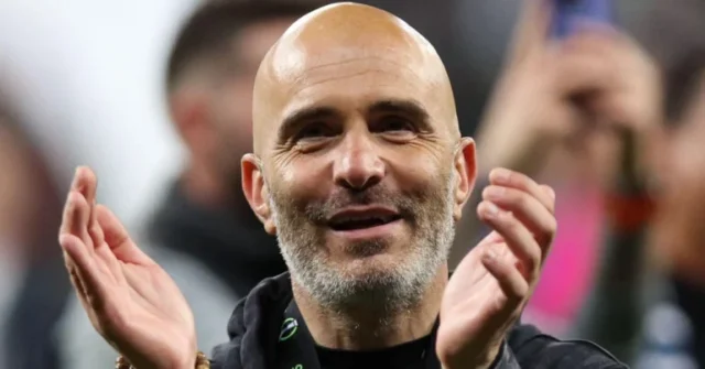 Manchester City agree £35m deal for Brazilian winger Allan Elias
