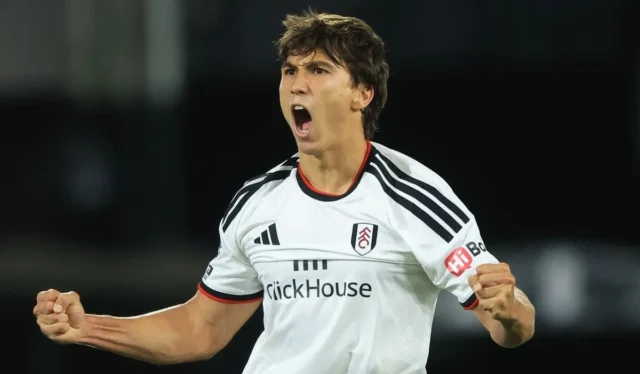 How to watch Sunderland vs Fulham: Live streams, TV channels and match preview as Black Cats host Cottagers in Premier League