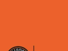 Salford City fecha acordo de tecnologia de inteligência artificial com Accenture – Inside World Football Salford City agree AI tech deal with Accenture - Inside World Football