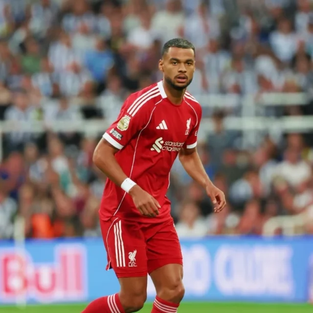 Tottenham Hotspur receive major boost in pursuit of Cody Gakpo after Liverpool agreement Tottenham Hotspur receive major boost in pursuit of Cody Gakpo after Liverpool agreement