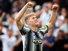 Como assistir Coventry City x Newcastle United gratuitamente: detalhes da transmissão ao vivo