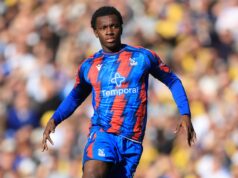 Como assistir Crystal Palace x Nottingham Forest: transmissões ao vivo gratuitas